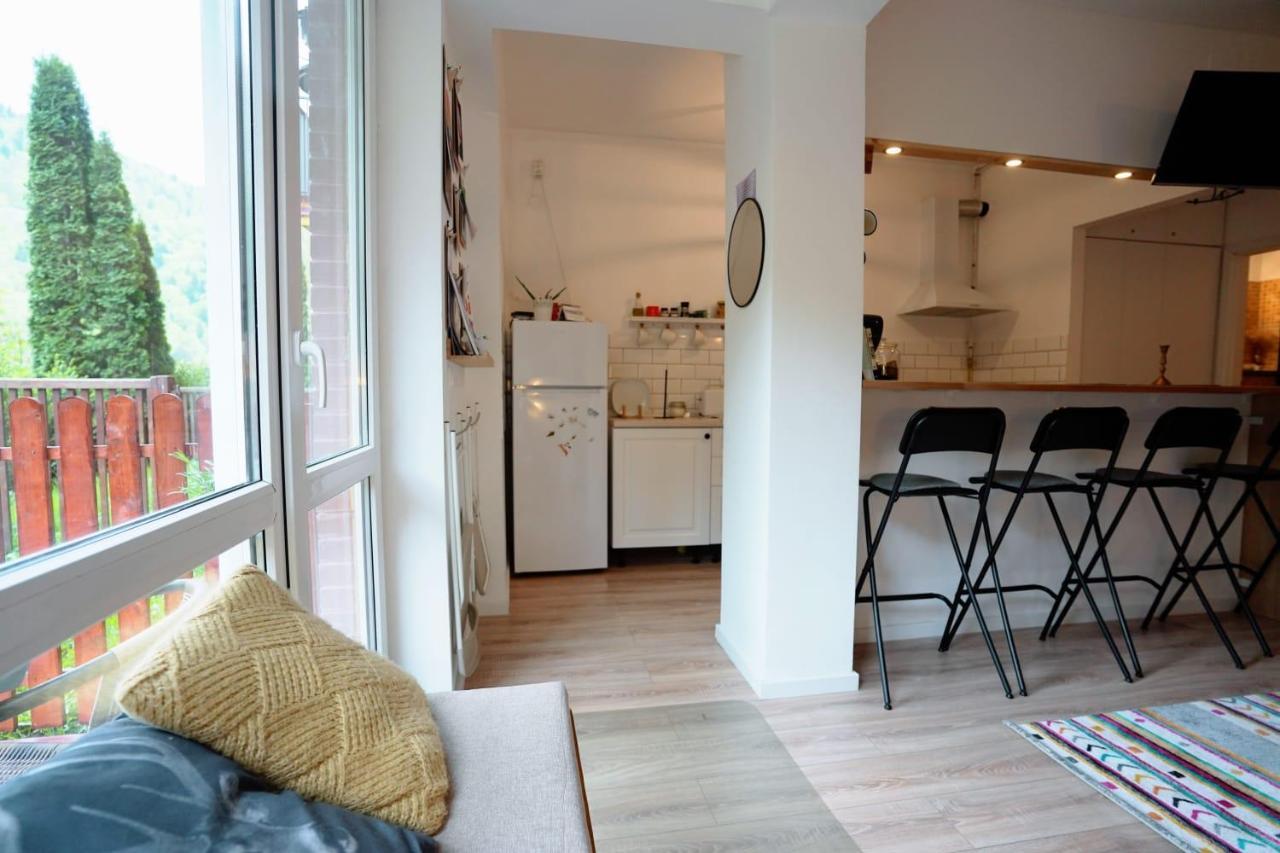 Bubbles Studio Sinaia With Terrace 외부 사진