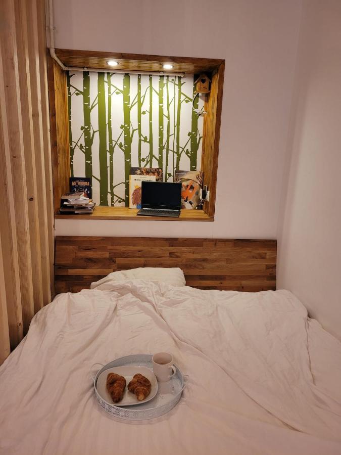 Bubbles Studio Sinaia With Terrace 외부 사진