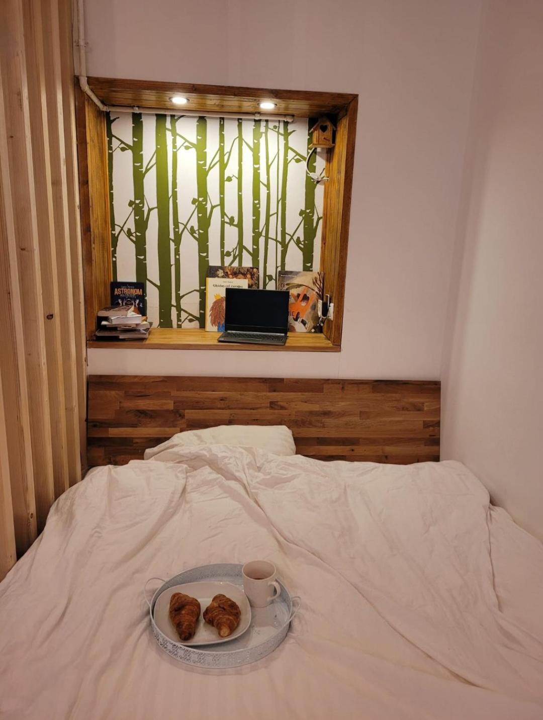 Bubbles Studio Sinaia With Terrace 외부 사진